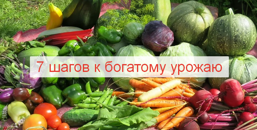 [Алёна Волкова] [Алёнин сад] 7 шагов к богатому ур_0.png